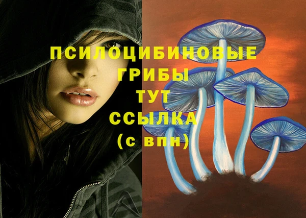 ешки Зеленодольск